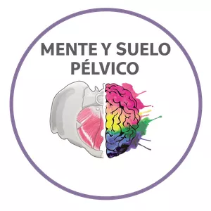 Imagen de portada para Curso online Mente Y Suelo Pélvico Gym