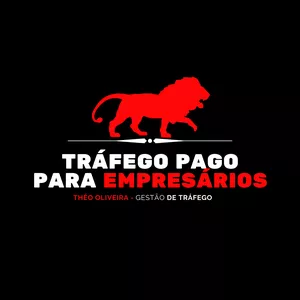Curso Tráfego Pago Para Empresários 