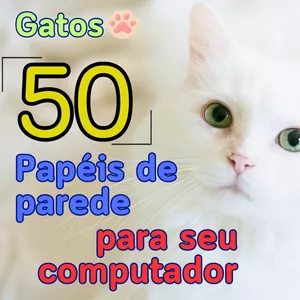 Imagem de capa para o Curso online 50 papéis de parede fofos de gatos (computador/notebook). Wallpaper