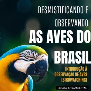 Imagem de capa para o Curso online Desmistificando e Observando as Aves do Brasil