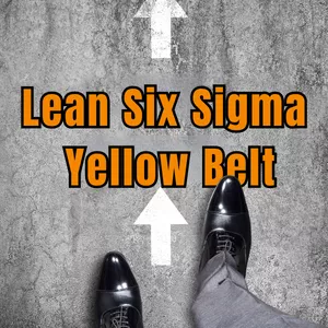 Imagem de capa para o Curso online Lean Six Sigma Yellow Belt