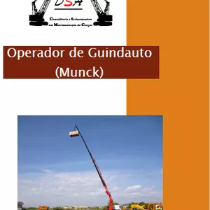 Imagem de capa para o Curso online Curso de Operador de Guindauto