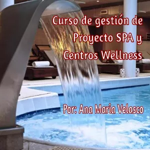 Imagen principal del producto Curso de gestión de proyecto Spa y Centros Wellness