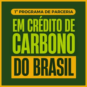Imagem de capa para o Curso online 1º Programa de Parceria em Crédito de Carbono do Brasil