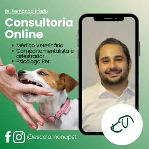 Imagem de capa para o Serviço online Consulta Online