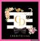 The Credit Divas University