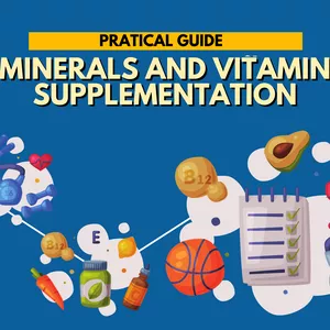 Cover image for Ebook Guide for vitamin and mineral supplementation