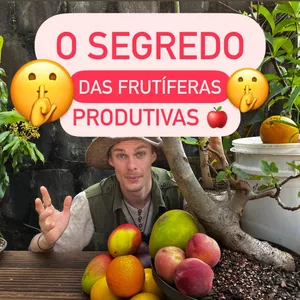 Imagem de capa para o Evento online O SEGREDO das FRUTÍFERAS produtivas: de 97,00 por 10,00 (t)