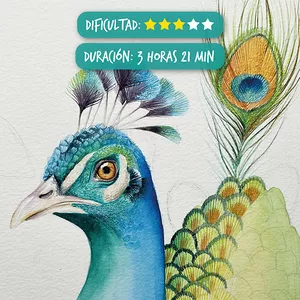Imagen de portada para Curso online Pavo real en acuarela