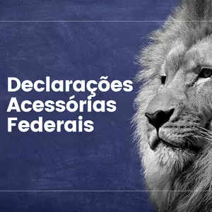 Imagem de capa para o Curso online Declarações Acessórias Federais