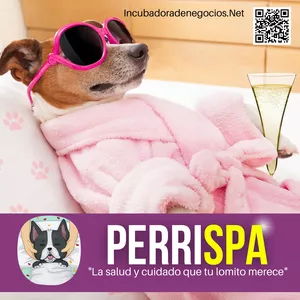 Imagen de portada para Curso online PerriSPA