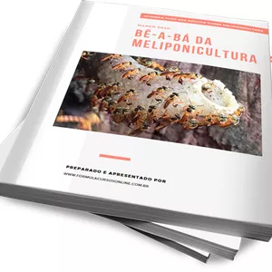 Imagem de capa para o Ebook BÊ-A-BÁ DA MELIPONICULTURA