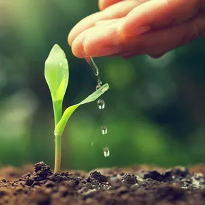 Cover image for Online course Agricultura sostenible 