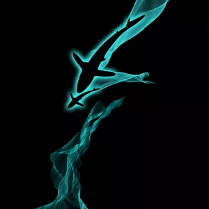 Imagen de portada para Curso online DISEÑOS PARA SUBLIMAR POLERAS 