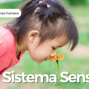 Imagem de capa para o Ebook Slide de Sistema Sensorial - 6º ano