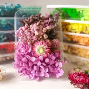 Imagen de portada para Curso online Curso de Producción de Flores Secas