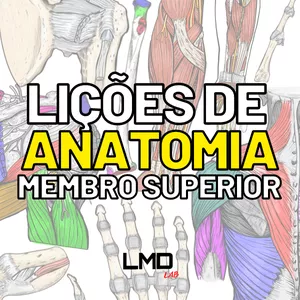 Imagem de capa para o Ebook Lições de anatomia: Membro superior