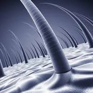 Imagem do curso Tricologia aplicada à Extensão de Cílios e Sobrancelhas