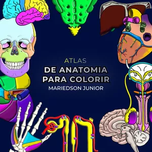 Imagem de capa para o Curso online ANATOS - Atlas de anatomia para colorir