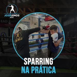 Imagem de capa para o Curso online Sparring na Prática