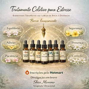 Imagem de capa para o Curso online Tratamento Coletivo Vibracional de Apoio ao Estresse - 21 dias