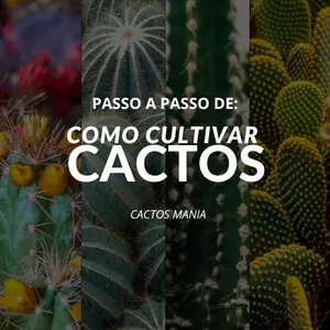 Imagem de capa para o Ebook COMO CULTIVAR CACTOS/PASSO A PASSO
