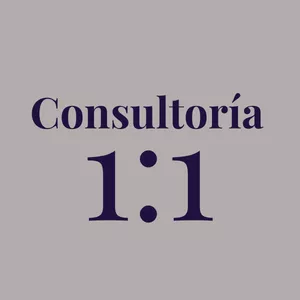 Imagen de portada para Ebook Consultoría 1:1 