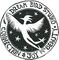 Dream Bird Studio