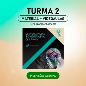 Imagem de capa para o Curso online Desvendando a tomografia de crânio ( TURMA 2)