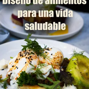 Imagen de portada para Ebook Diseño de alimentos para una vida saludable