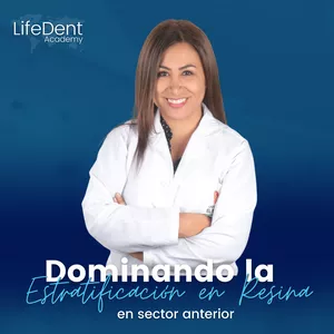 Imagen de portada para Curso online Dominando la estratificación en resina en sector anterior