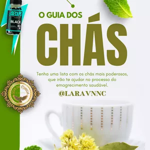Imagem de capa para o Ebook Guia de Chás  Secaps Black