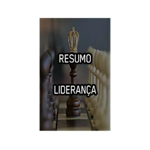 Imagem de capa para o Ebook Resumo Liderança