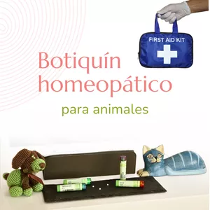 Imagen de portada para Curso online Botiquín homeopático para animales