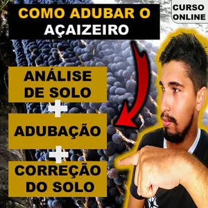 COMO ADUBAR O AÇAIZEIRO