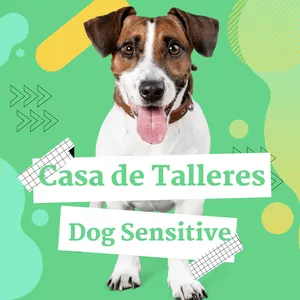 Imagen de portada para Curso online Casa de Talleres Dog Sensitive®