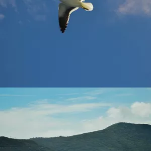 Imagem de capa para o Ebook 21-Day Self-Confidence Challenge: Build Unshakable Confidence and Change Your Life