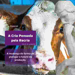 Imagem de capa para o Curso online A Cria Pensada pela Recria - Especial Leite