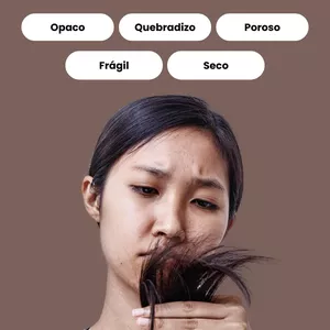 Imagen de portada para Curso online Salud y Cuidado Capilar