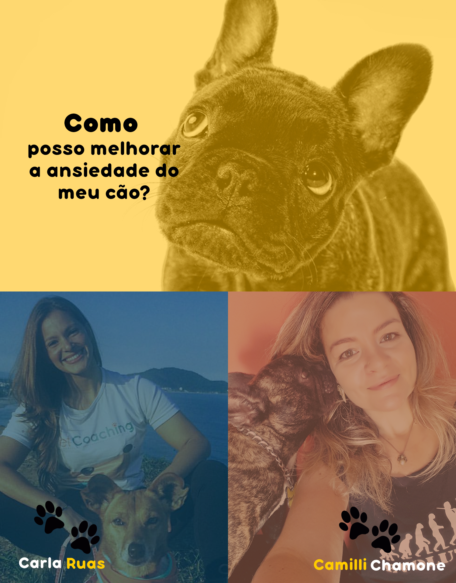 Imagem do curso Ansiedade Canina