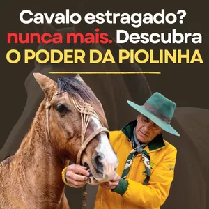 Imagem de capa para o Curso online Doma de Cavalos - com Auri Costa - O SEGREDO DA PIOLINHA REVELADO
