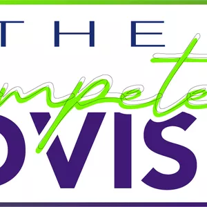 Imagen de portada para Curso online THE COMPETENT ADVISER