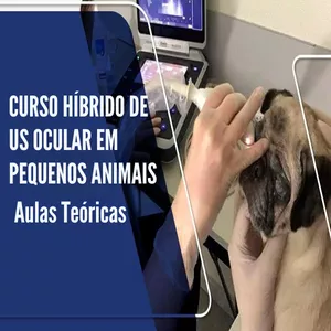 Imagem de capa para o Curso online Curso Híbrido de Ultrassonografia Ocular – Aulas Teóricas