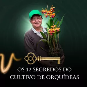 Imagem do curso Os 12 Segredos do Cultivo de Orquídeas