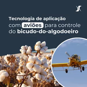 Imagem de capa para o Curso online Tecnologia de Aplicação com Aviões Agrícolas para o controle do Bicudo-do-Algodoeiro
