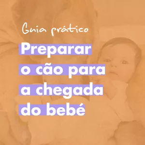 Imagem de capa para o Ebook Preparar o Cão para a Chegada do Bebé 