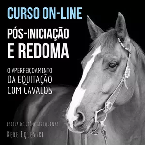 Imagem de capa para o Curso online Pós-iniciação ao aperfeiçoamento da equitação com cavalos