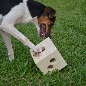 Imagem do curso Curso de Psicologia Canina Cão Sentinela