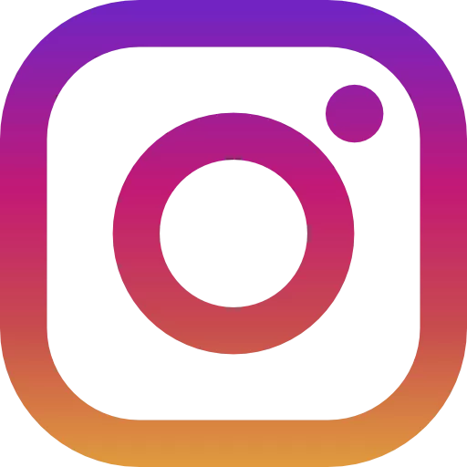 ïcone Instagram