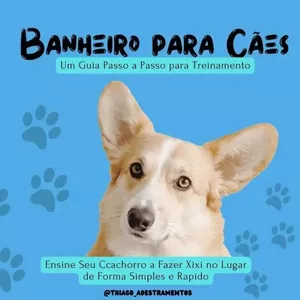 Imagem de capa para o Ebook Xixi no lugar Certo